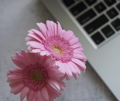 Como ganhar dinheiro com um blog?